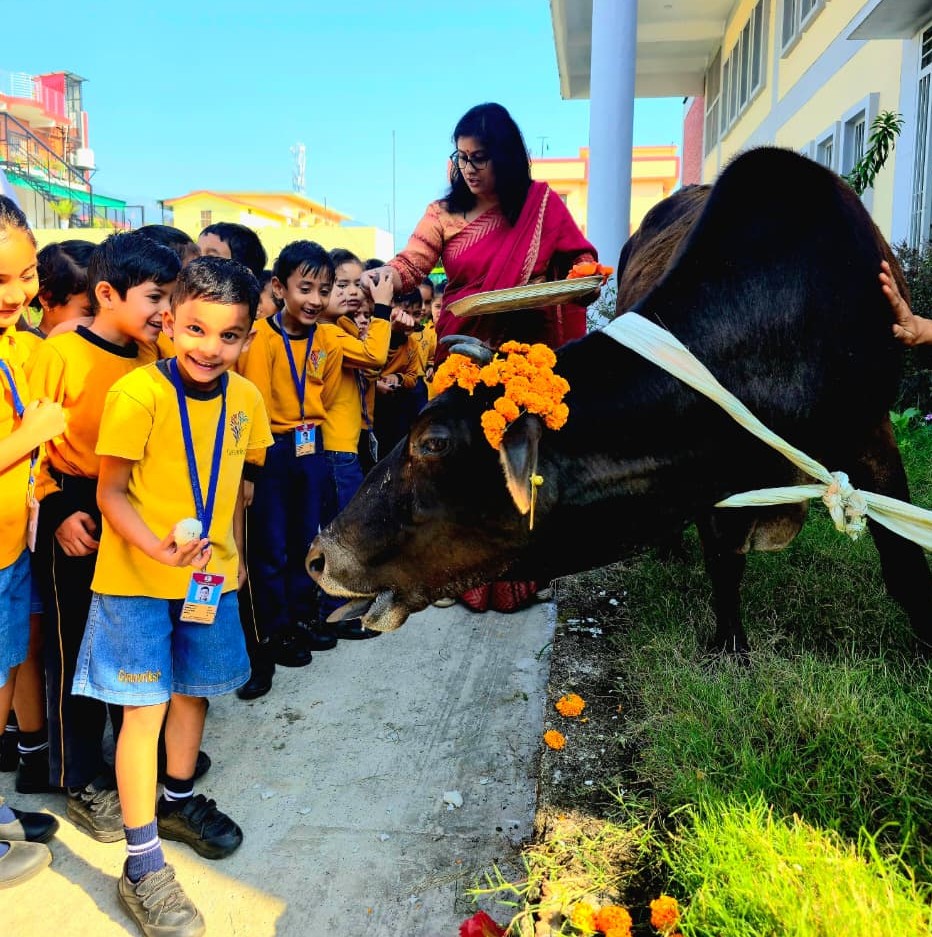 whatsapp image 2026 01 17 at 3.11.47 pm